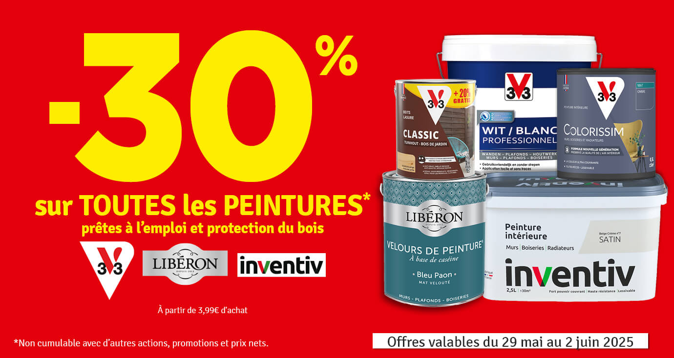 30 % sur toutes les peintures